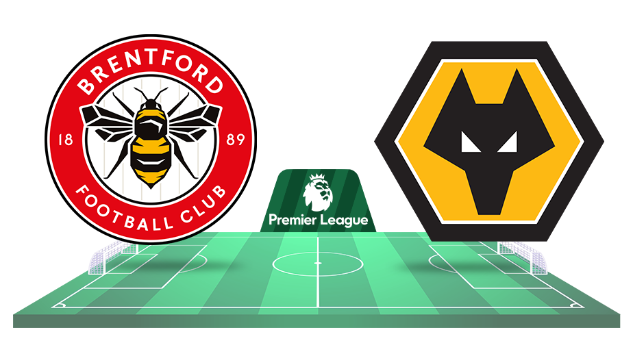 brentford wolves ponturi pariuri