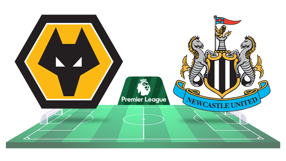 wolves newcastle ponturi pariuri