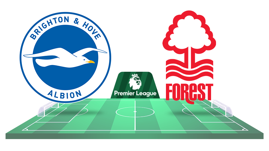 brighton nottingham ponturi pariuri