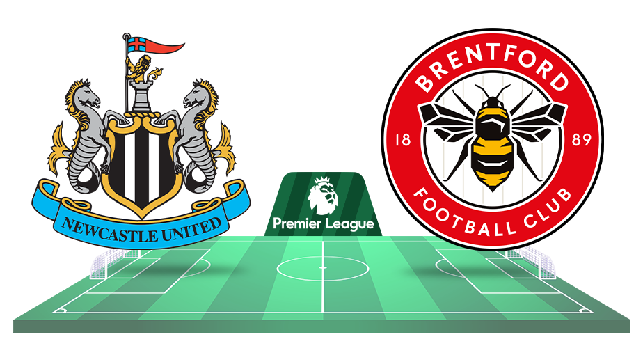 newcastle brentford ponturi pariuri