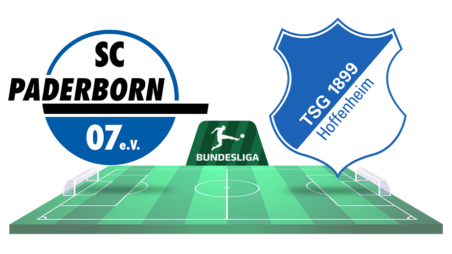 paderborn hoffenheim ponturi pariuri